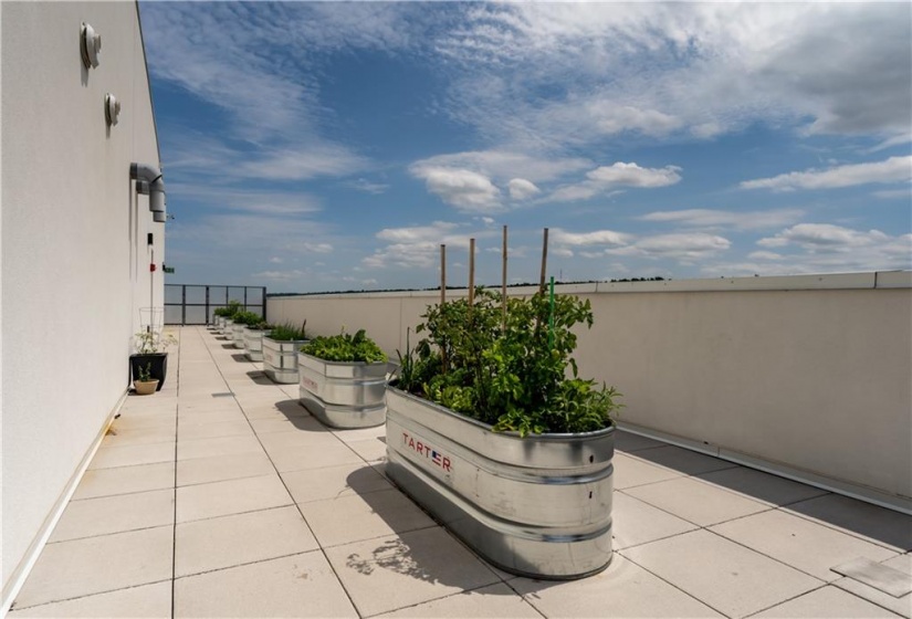 Community Garden