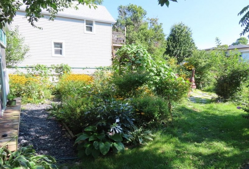 exterior back yard