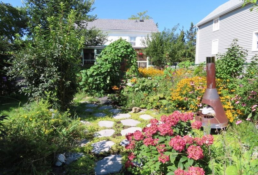 exterior back yard