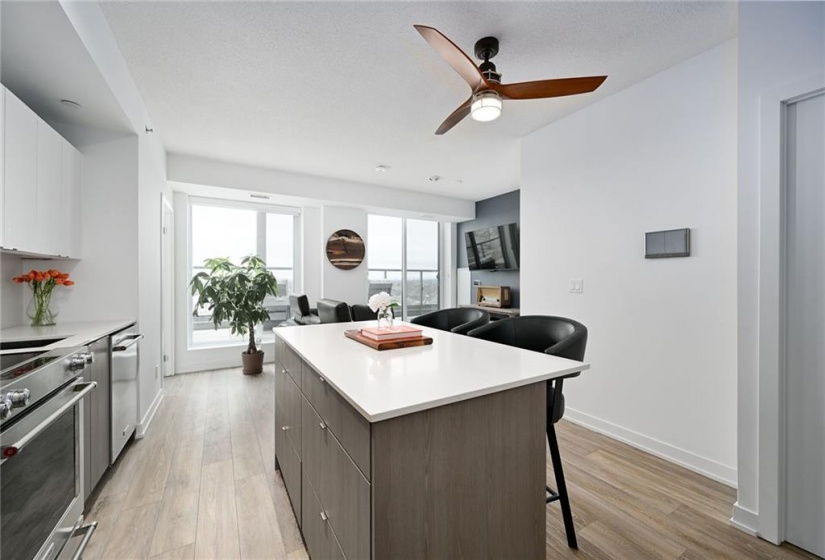 Open Concept Kitchen