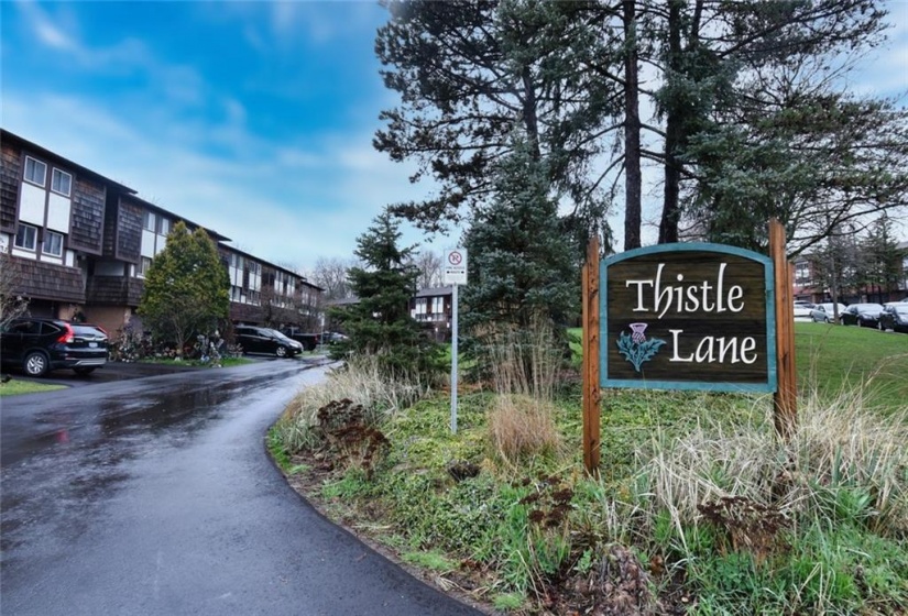 - entranceway to Thistle Lane