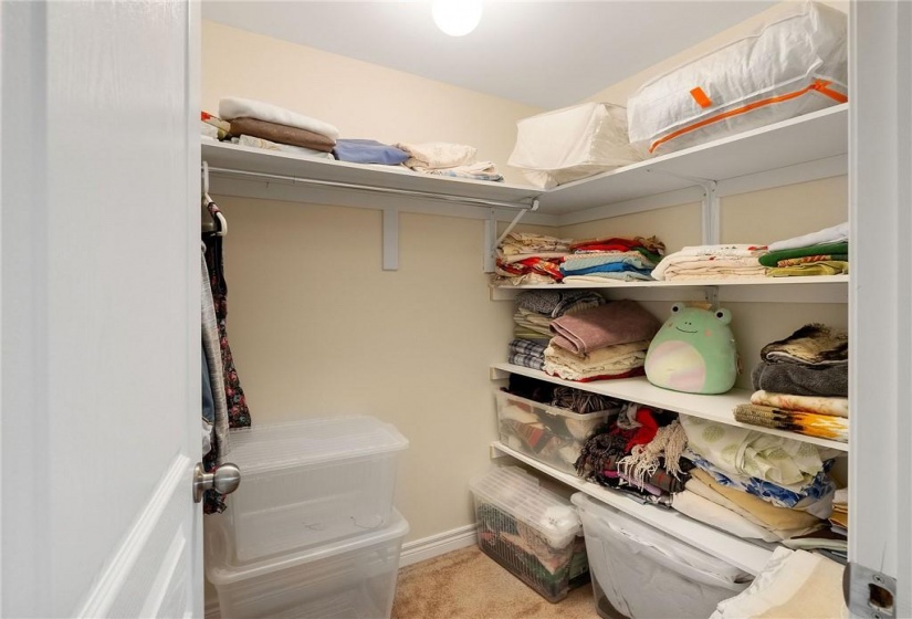 Lower level walk-in closet