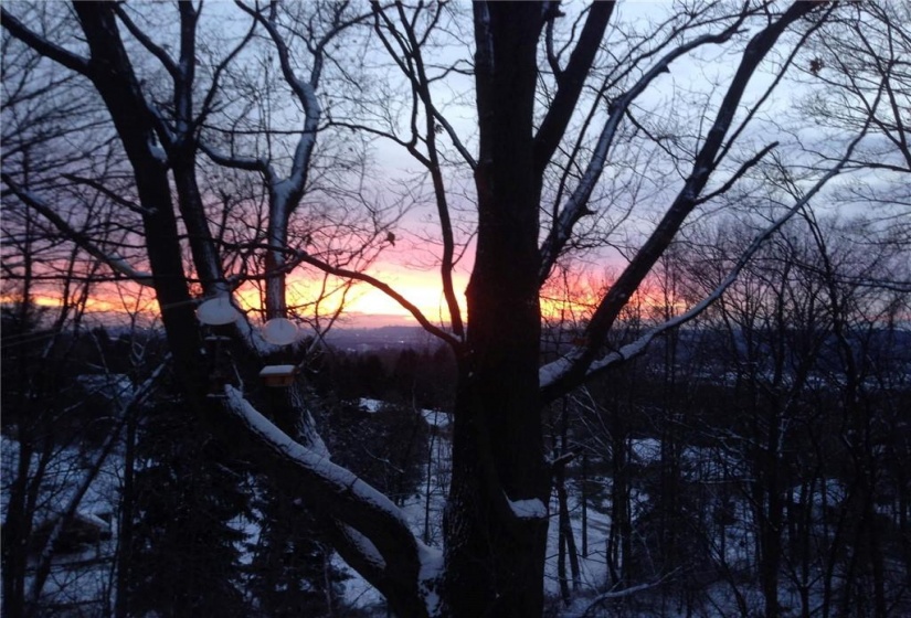 Winter view from back deck