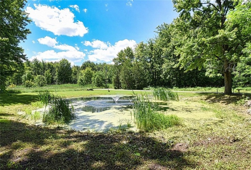 Pond with sprinkler system