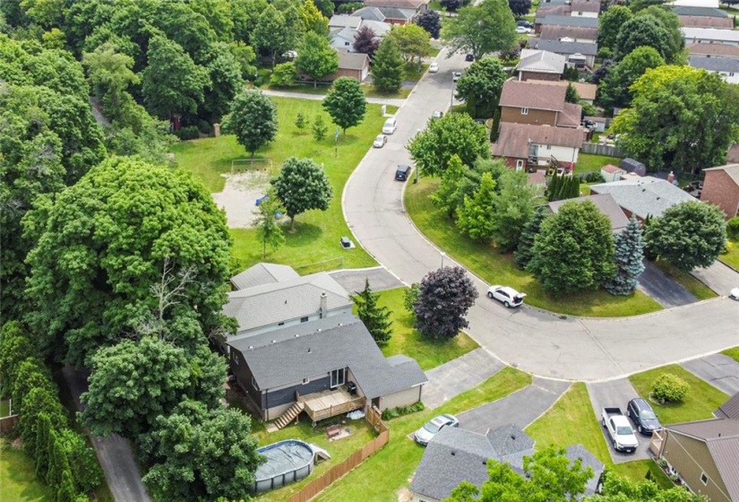 Quiet Street with Mature Trees.