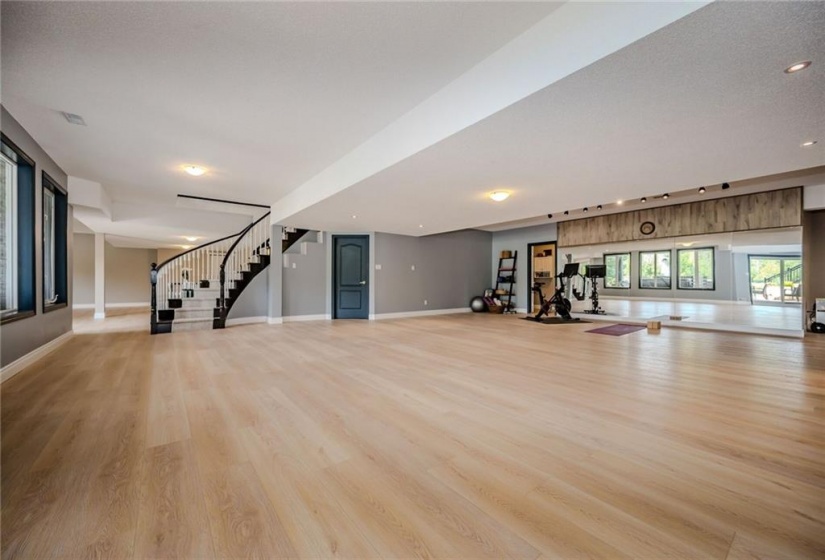 Massive Lower Level with full height ceilings, tons of light and Walkout