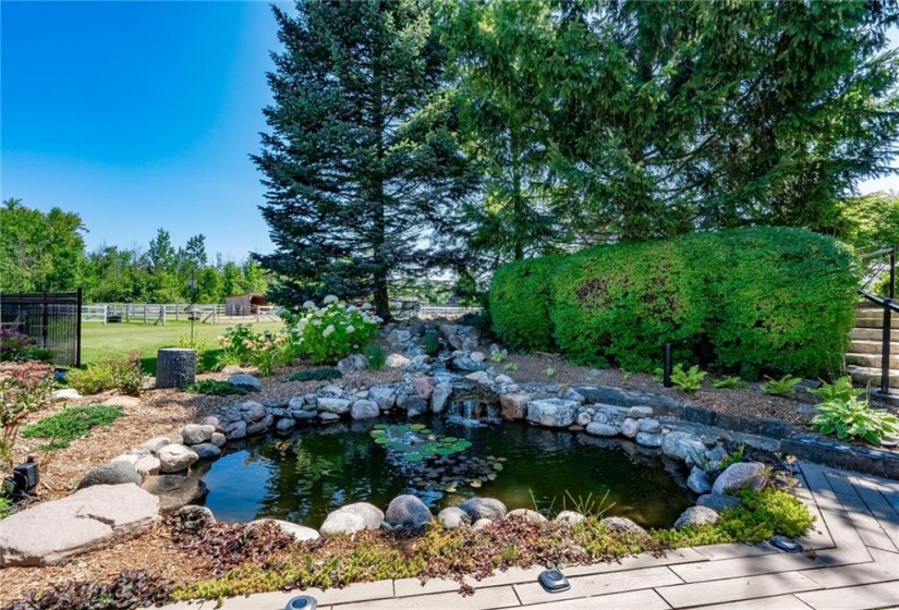 Custom Pond with Waterfall Feature