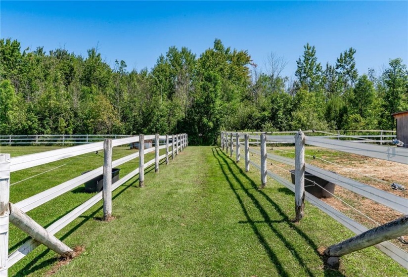 Path between Paddocks