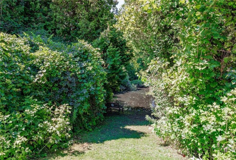 Natural Pond at Front of Property - Fully Treed with cozy sitting area