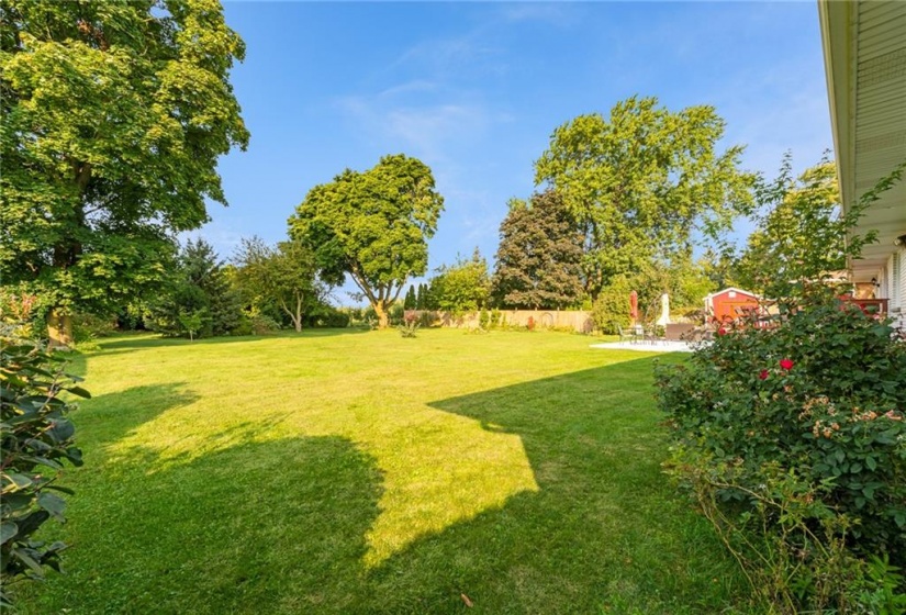 Large fenced in yard