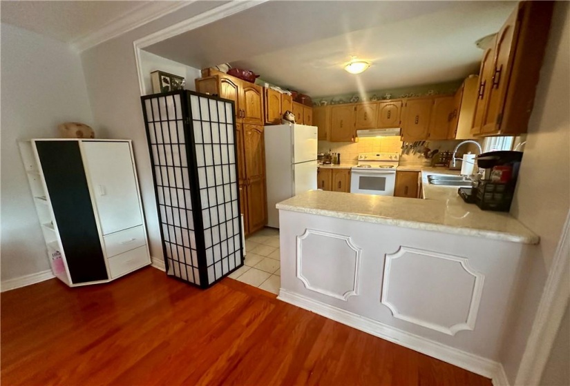 Lower 3rd level Kitchen with double sink and BI dishwasher