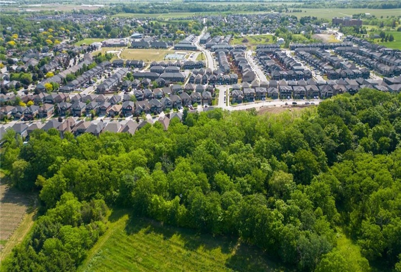 Ravine Lot in Newer Neighbourhood