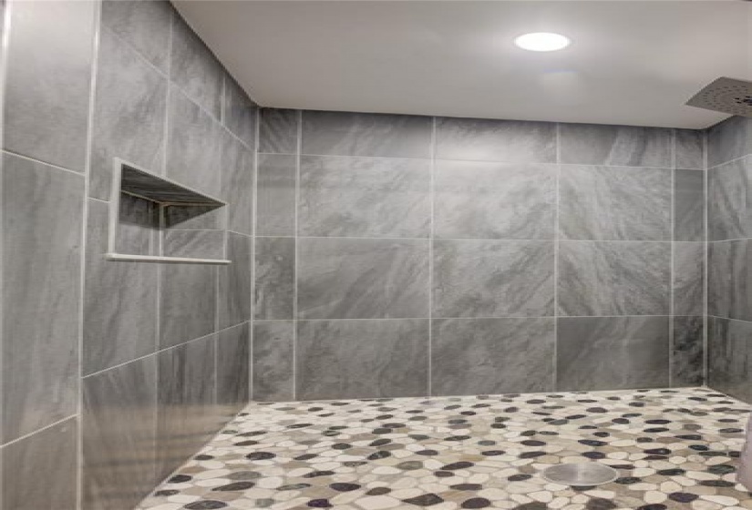 lower level shower in bathroom